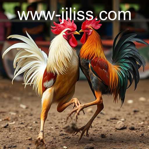 jiliss.com